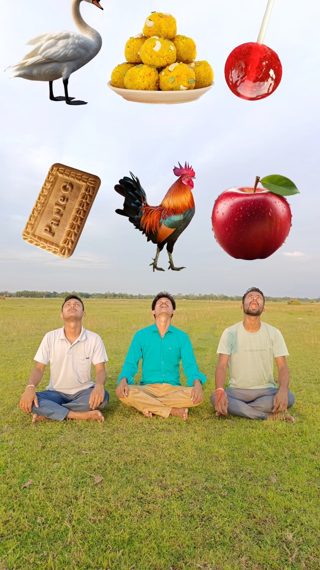 Eating Parle-G, biscuit, Apple, Rooster, Goose, lolipop, wow cake, chocolate, icecream, funny ?VFX